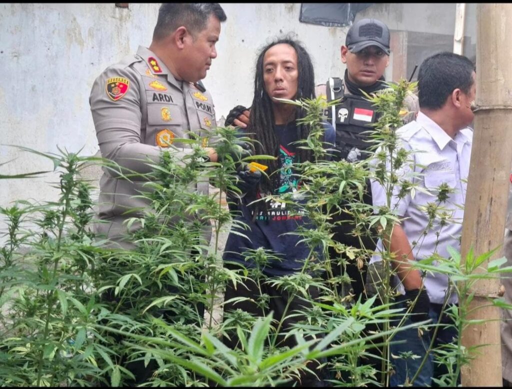 Screenshot_20251215_172659_WhatsApp