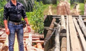 az_recorder_20251229_155448